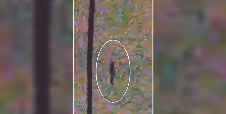 ¿Descubrieron un humanoide volador en el cielo?