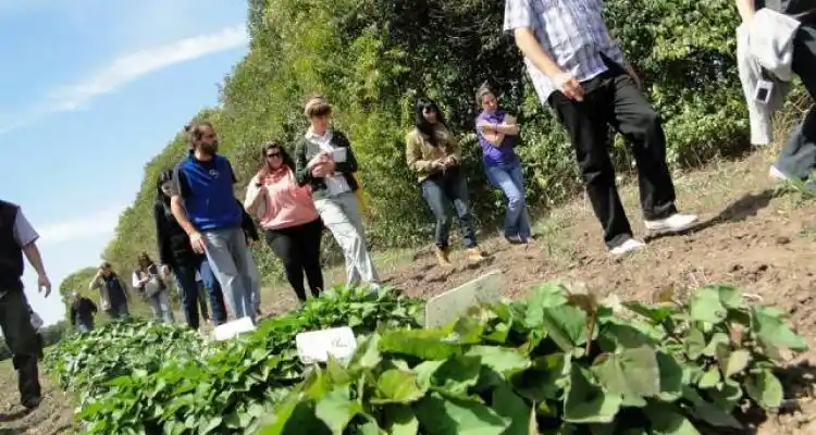 El domingo, “Día de Campo” en Inta