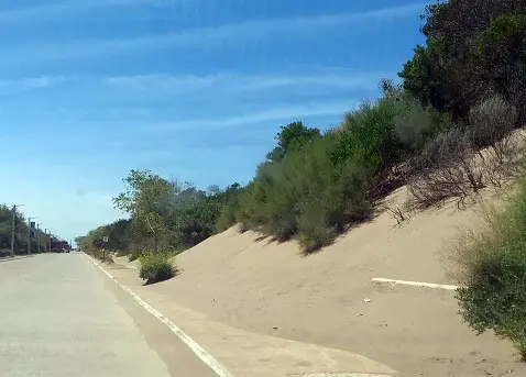 Los médanos avanzando en el sendero saludable de Av. 2