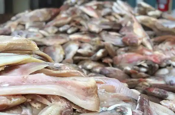 Trabajan en un proyecto para que un programa distinga la merluza con parásitos y deje de ser una tarea humana