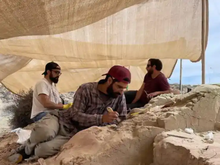 Cómo ver el streaming del Conicet para descubrir dinosaurios y otros fósiles