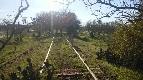 Cazaban, pero a uno de ellos se le cayó el rifle y le pegó un tiro al amigo