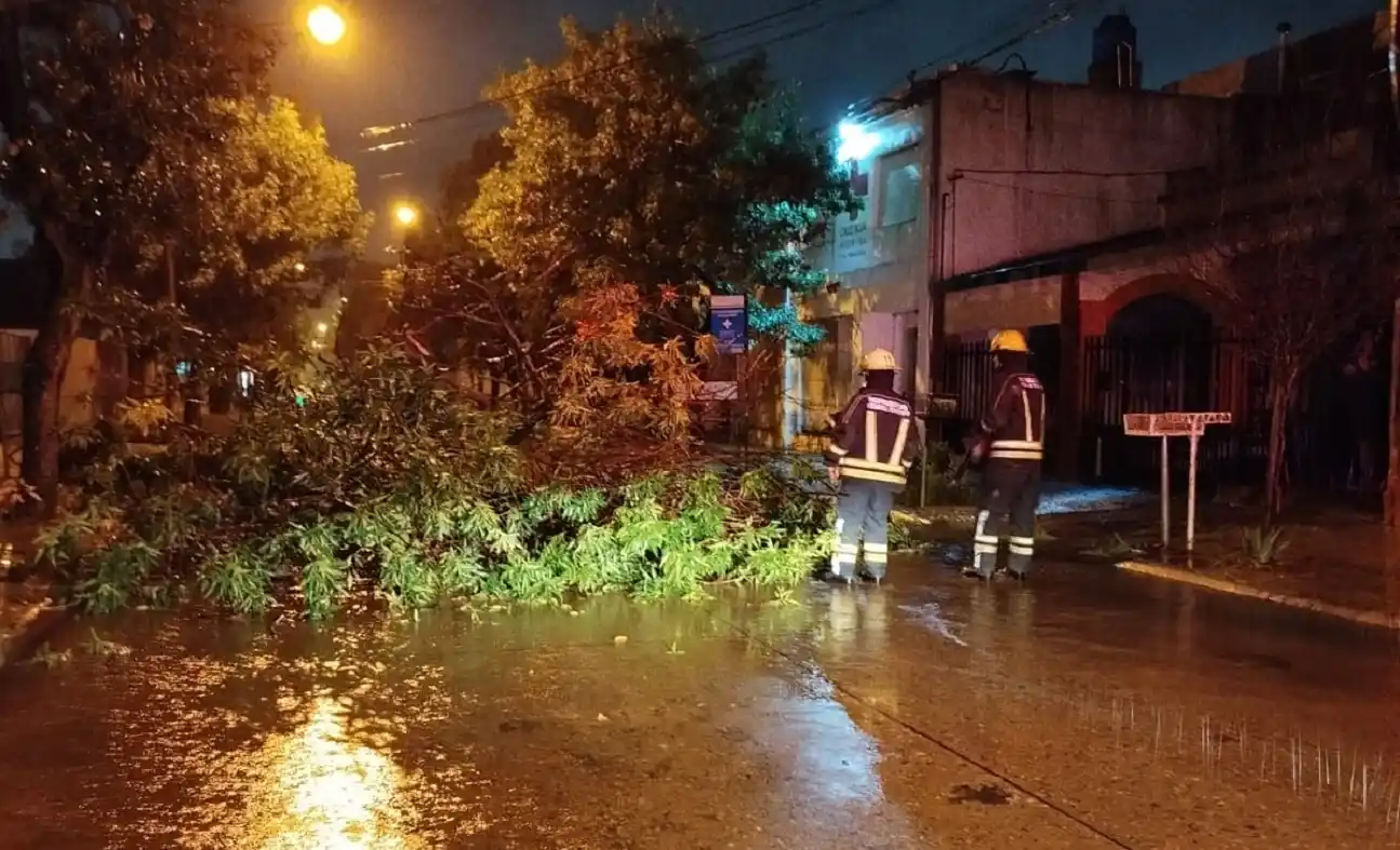 Crédito: Bomberos de Venado Tuerto.