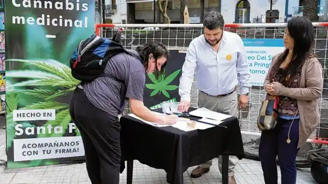 Rosarinos juntan firmas para que Santa Fe produzca cannabis medicinal