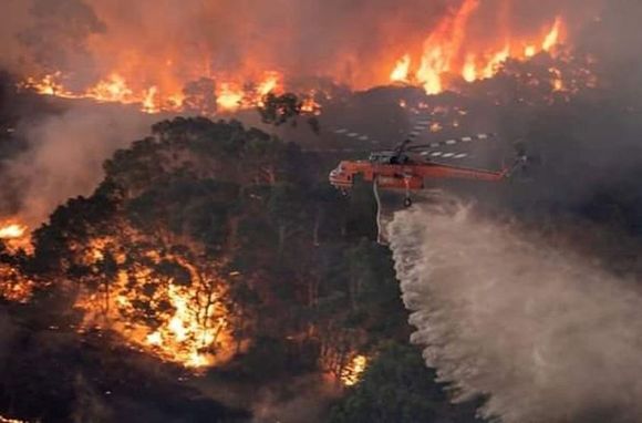 Incendios en Australia: "El futuro tiene olor a humo y el humo llegó a Argentina"