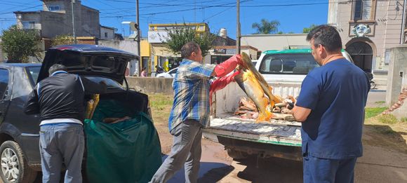 Decomisaron más de 200 kilos de pescado que era trasladado en el baúl de un auto