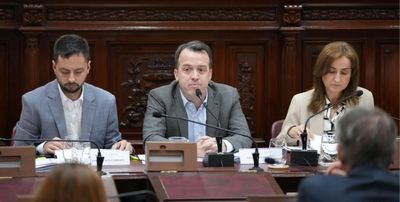 Tras más de siete horas de debate, la Redactora convoca a otras comisiones