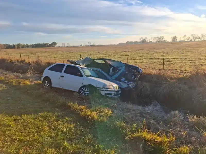Dos automóviles colisionaron contra caballos que se encontraban sueltos sobre la calzada.