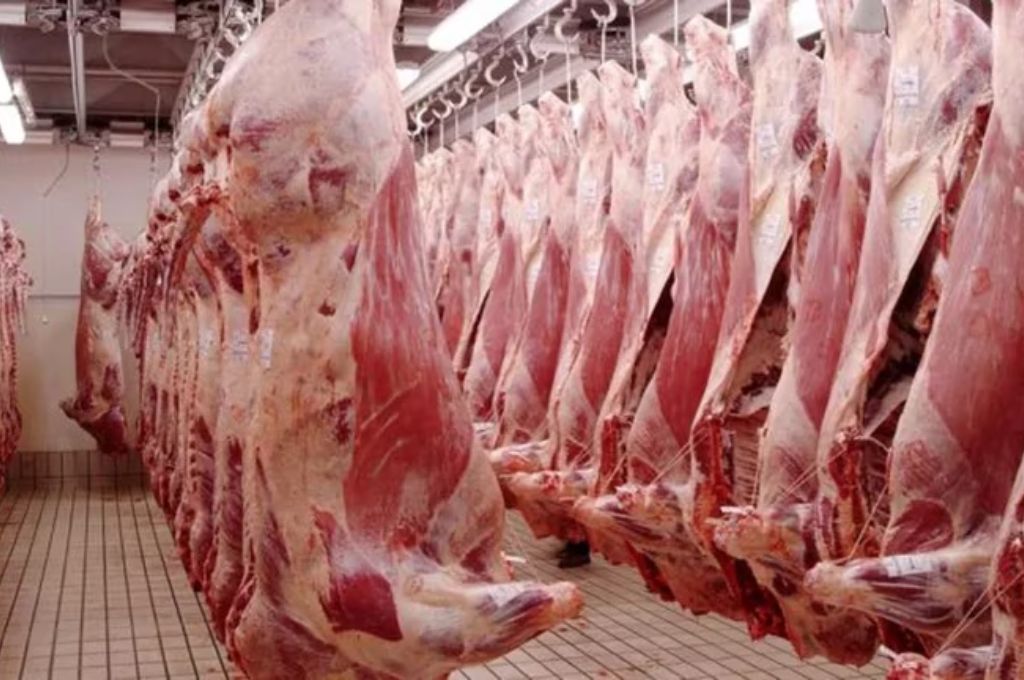 En el primer trimestre del año, las exportaciones de carne vacuna subieron un 12%