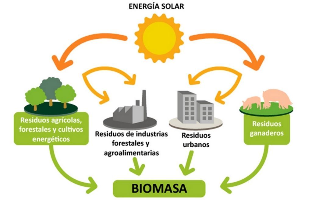 Se fomenta el uso sostenible de la biomasa en el norte santafesino
