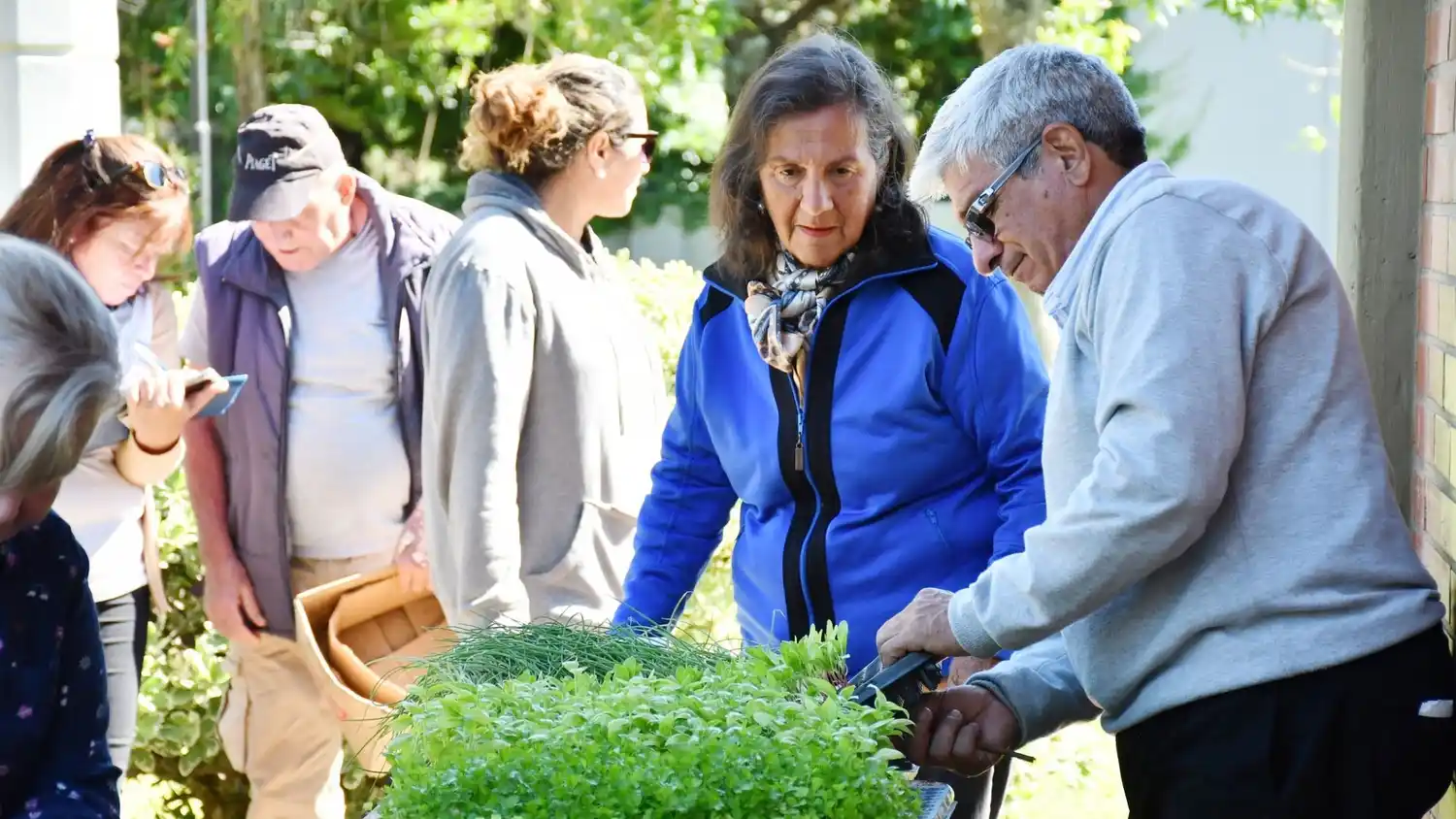 Programa de Huertas Agroecológicas Familiares