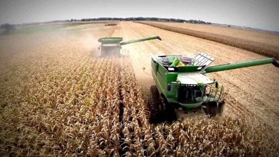 Se desarrollarán las Jornadas Nacionales de la Empresa Agropecuaria