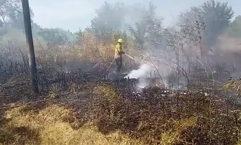 La quema de pastizales es una de las principales causas de incendios.