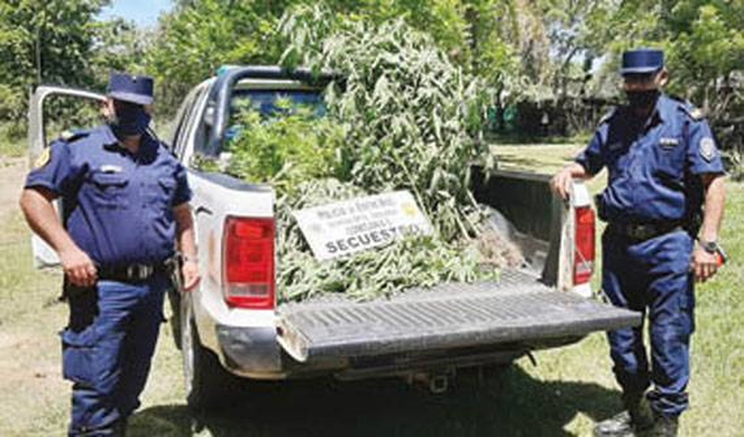 Lo encontraron en la  calle con dos plantas de  marihuana en la mochila  y confesó que tenía más  en la casa