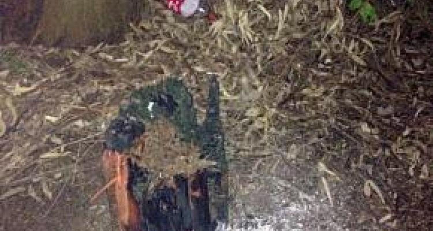 La búsqueda de Pablo Ezequiel Romero continuará toda la noche