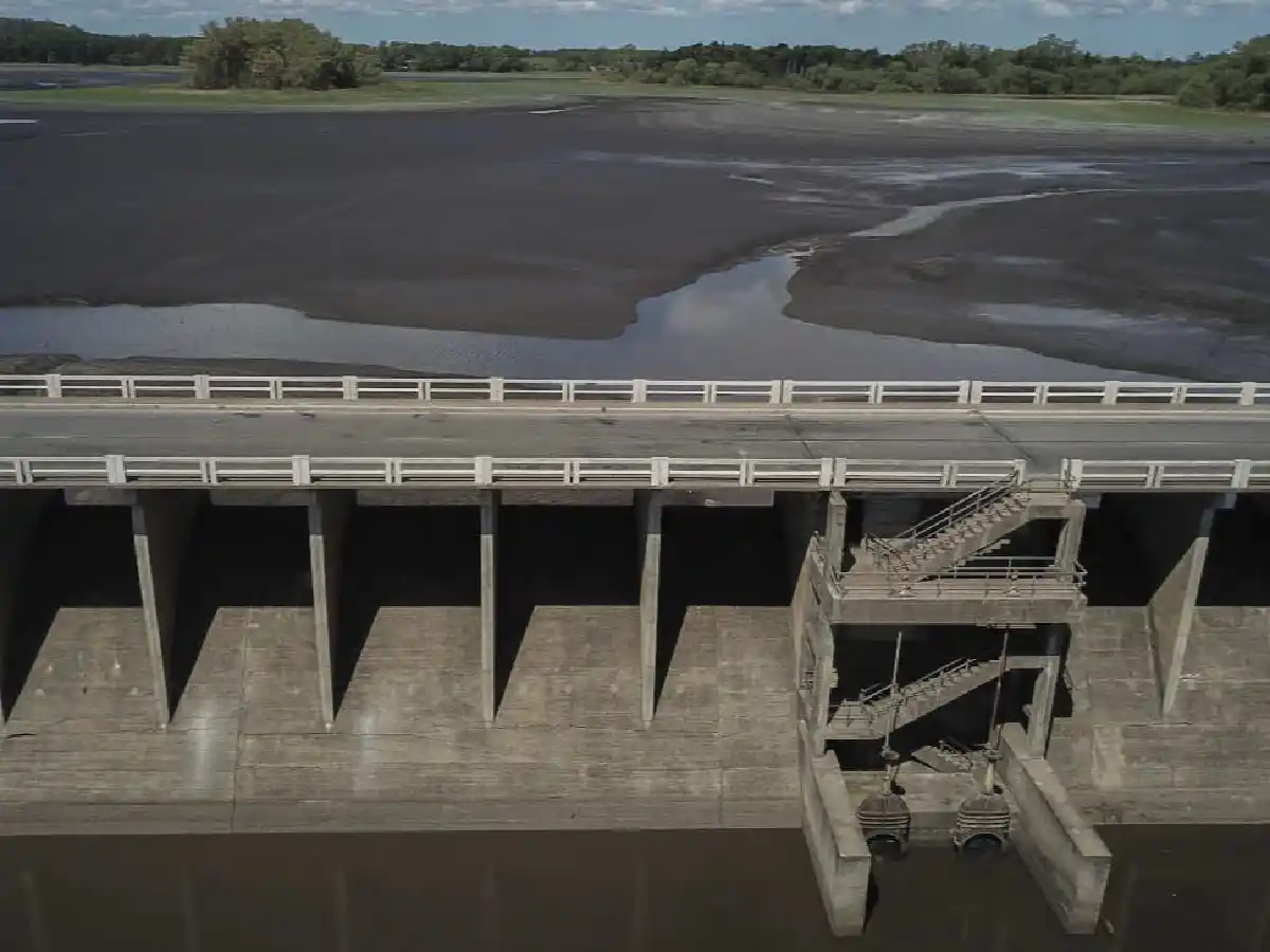Crisis hídrica: si no llueve pronto, Uruguay podría quedarse sin reservas de agua en 18 días