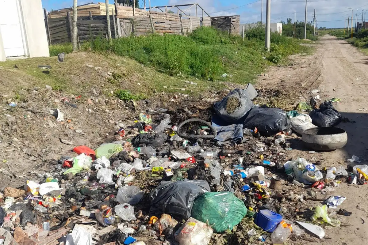 Microbasurales: el desafío ambiental que persiste a pesar de los operativos de limpieza