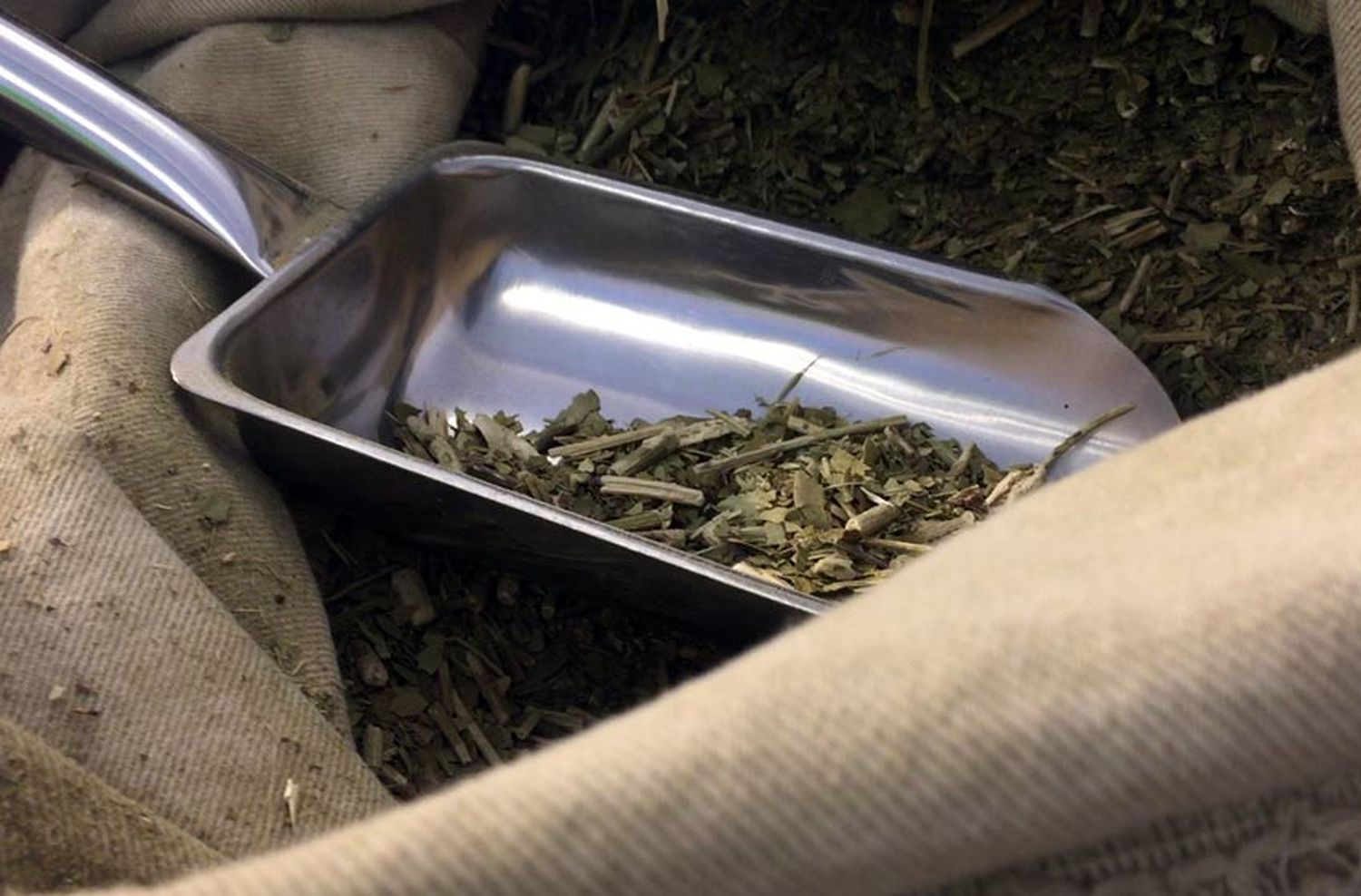 Rosario y el boom de la yerba mate «suelta»