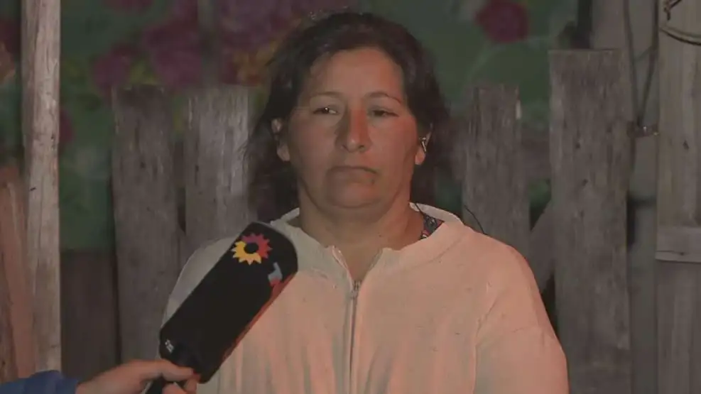 Laudelina Peña, tía del menor.