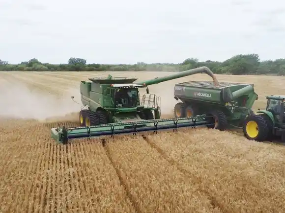 Las ventas al mundo de los frutos del agro, y derivados, van en suba feroz
