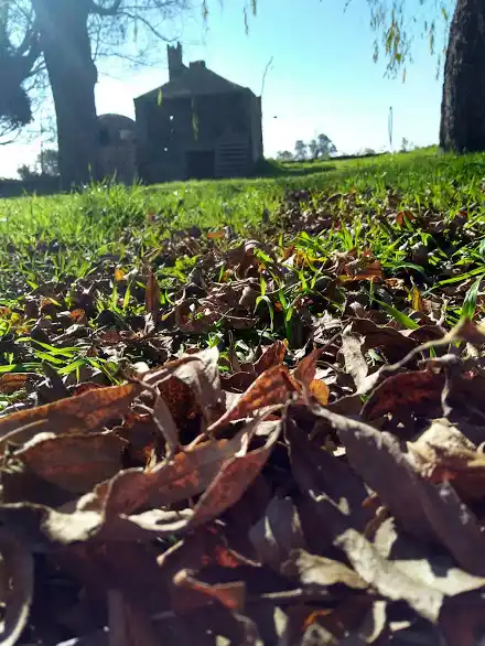 Se pronostica un hermoso día en la ciudad