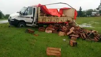 Reconocido verdulero de Gualeguaychú volcó en Ruta Provincial 39