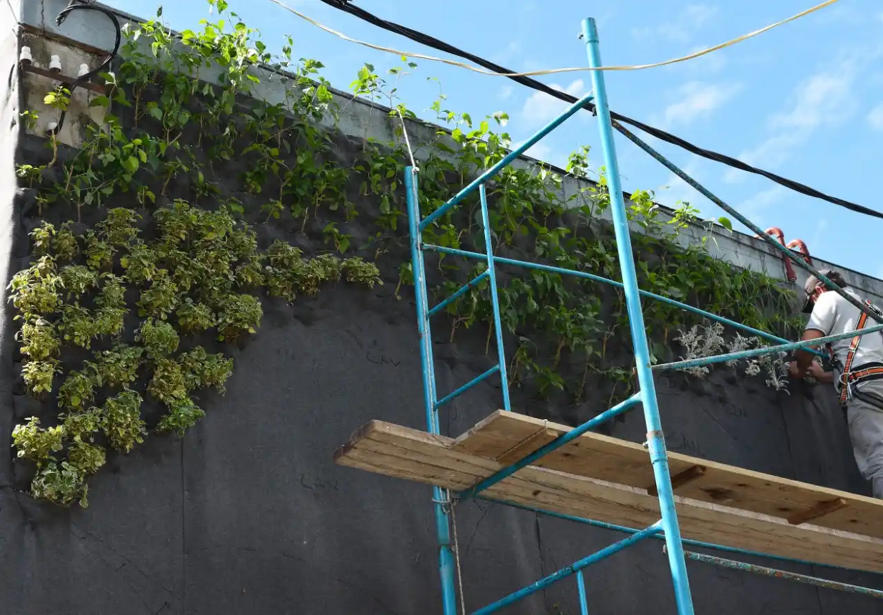 Jardín vertical en el frente municipal