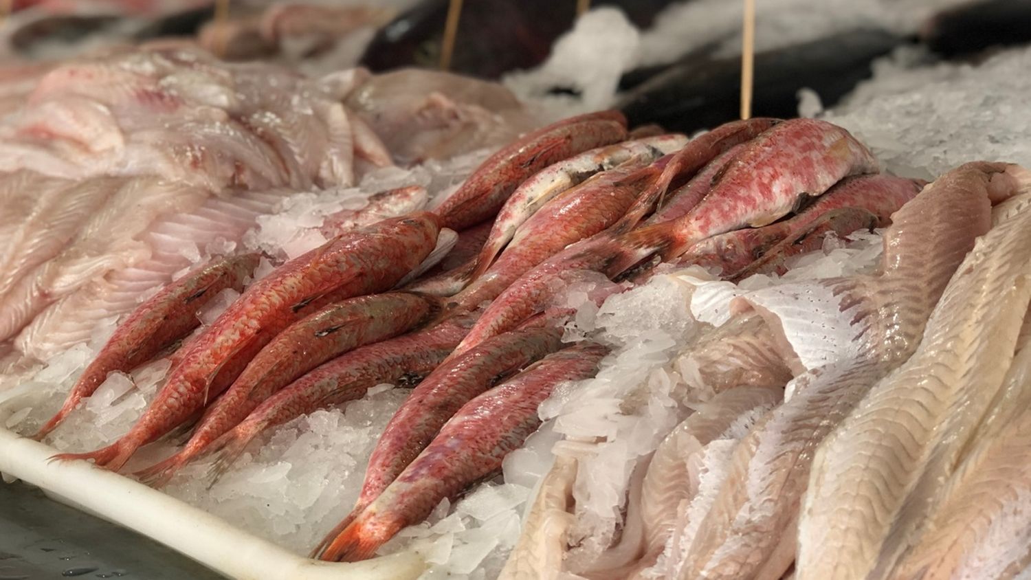 Qué tener en cuenta al comprar pescado