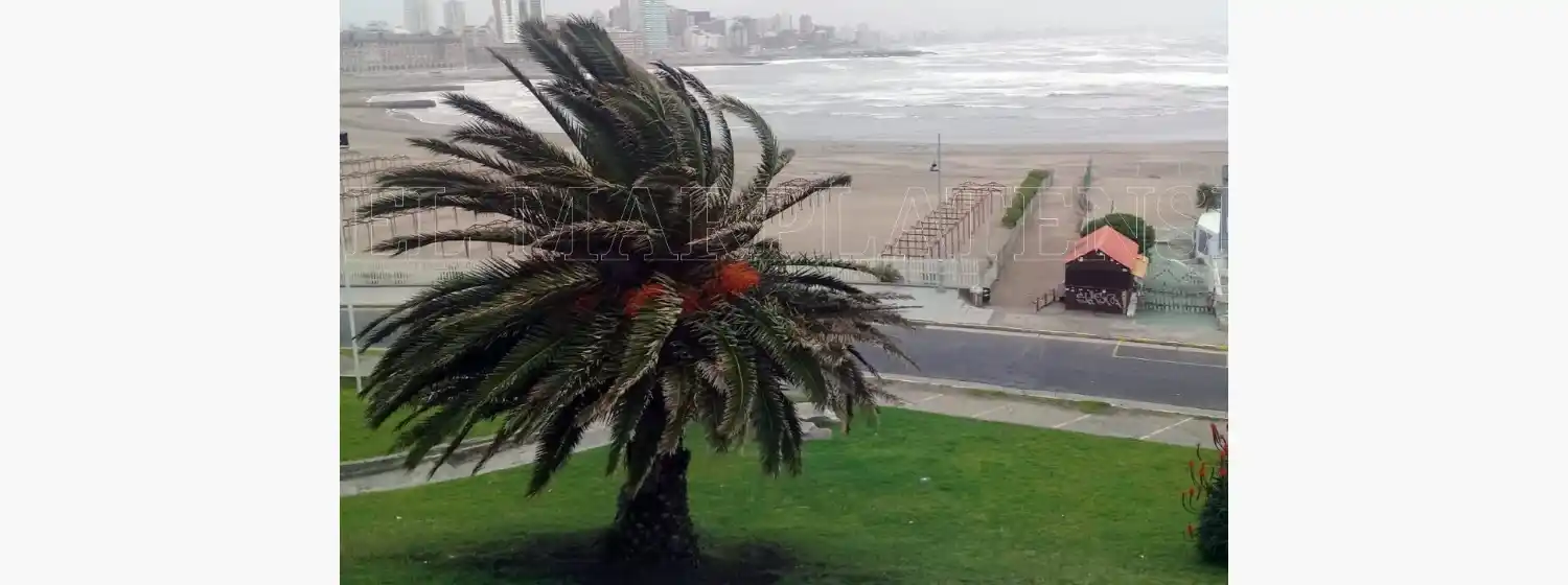 Renuevan el alerta por fuerte viento para la noche del sábado