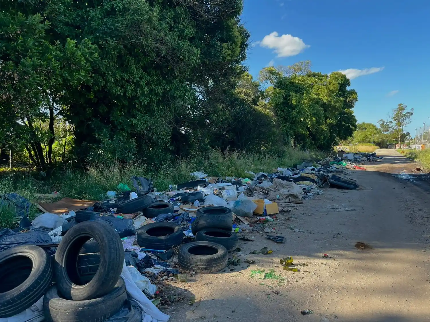 Microbasurales y el EMSUR: la gestión Martínez-Beneito en el ojo de la tormenta