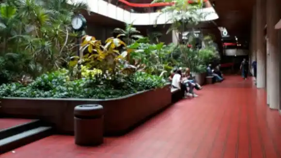 MURIÓ DISEÑADOR DE MODA consecuencia de presunta golpiza propinada por personal de seguridad de centro comercial en Las Mercedes