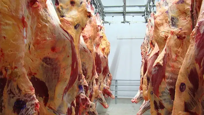 Podría haber faltante de carne por el paro de los trabajadores de Senasa