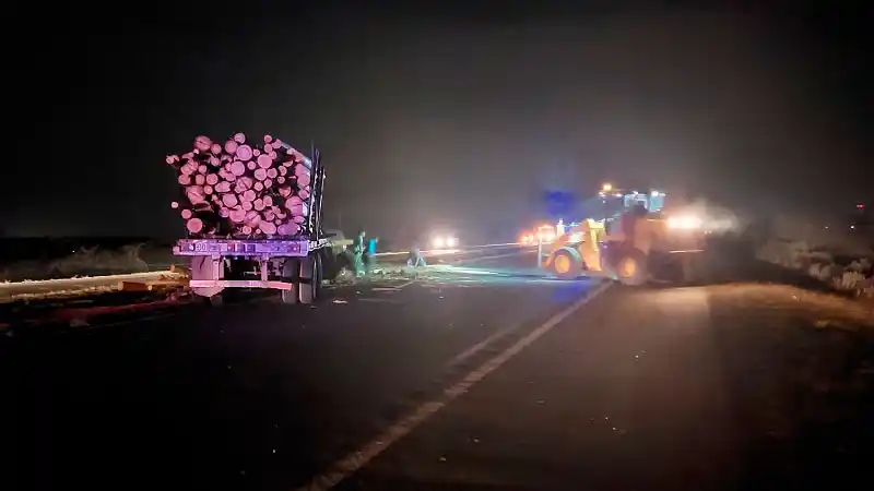 Un camión cargado con troncos de madera reventó un neumático y despistó en la Autovía 14