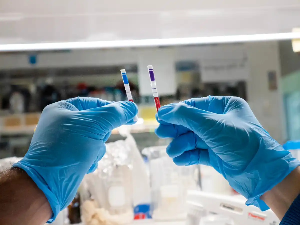 El Anlis-Malbrán aseguró que "no existe" una supuesta variante Buenos Aires del coronavirus