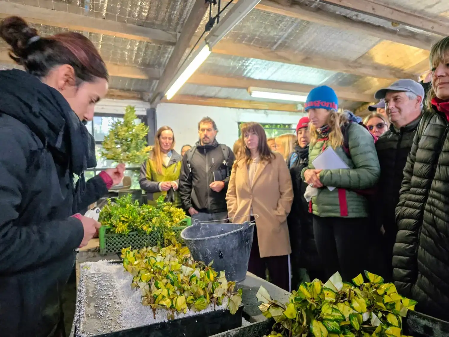 La convocatoria reunió a profesionales vinculados al sector verde, personas interesadas en cuestiones ambientales y vecinos que comparten la pasión por las plantas y el aprendizaje de nuevas técnicas.