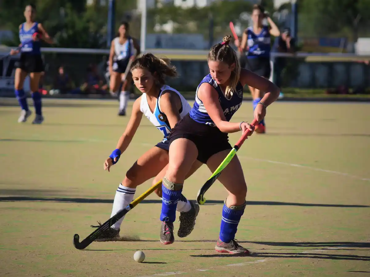 Antártida quiere aprobar  un difícil examen en casa