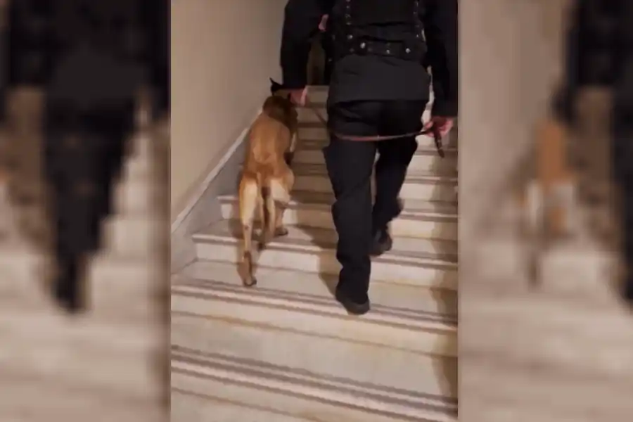 Presencia de perros sabueso con personal policial patrullando las instalaciones - NA