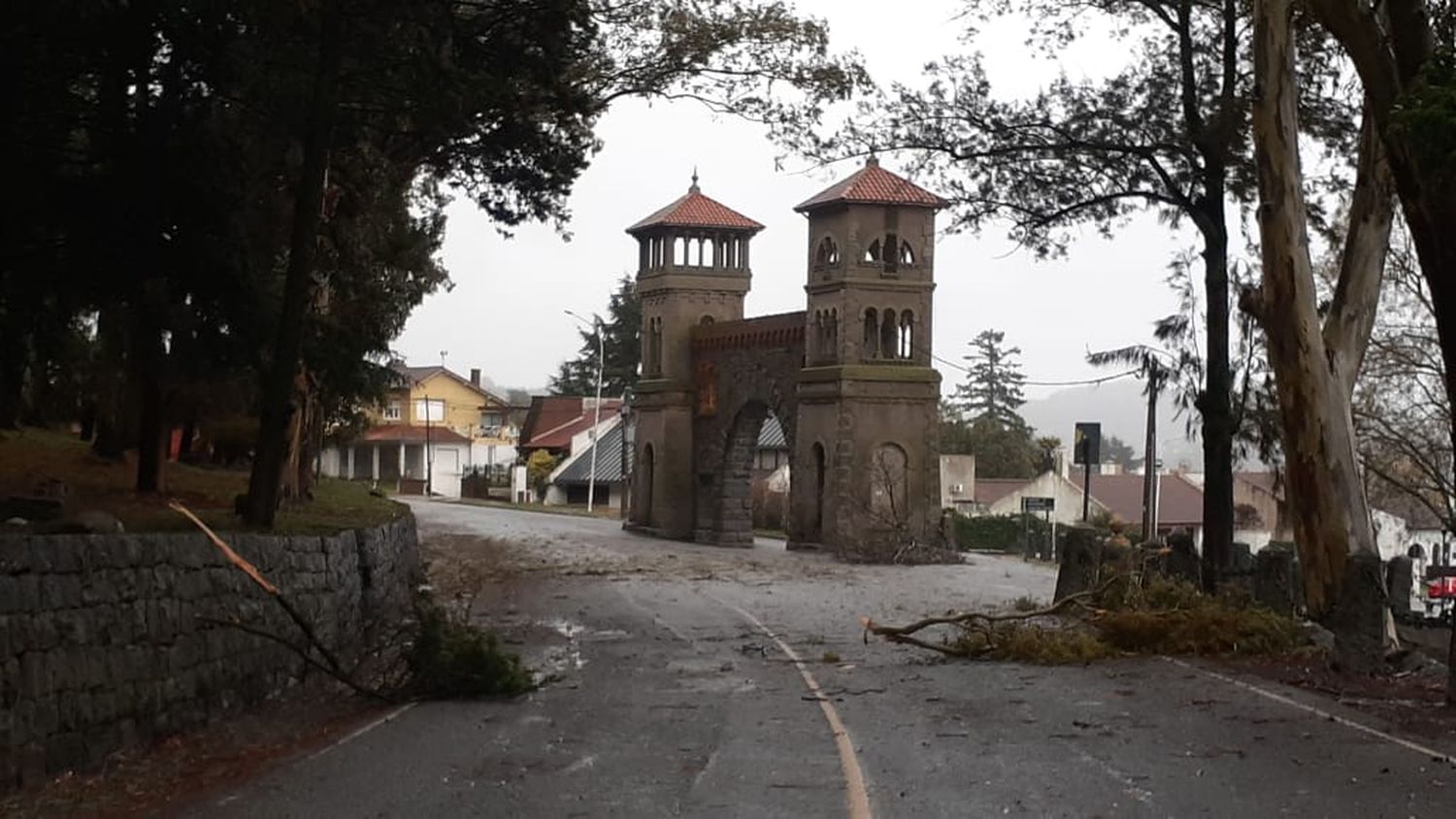 Árboles caídos, cortes de luz y chapas voladas por el fuerte temporal