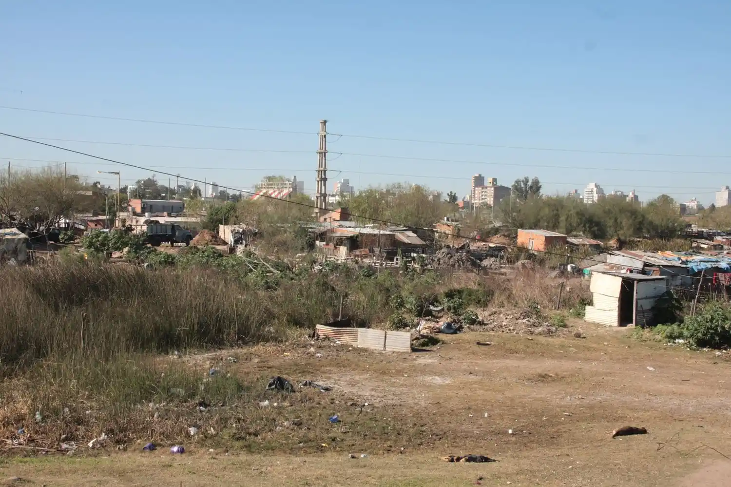 Pobreza: Estudian la forma de mitigar el impacto en el cerebro