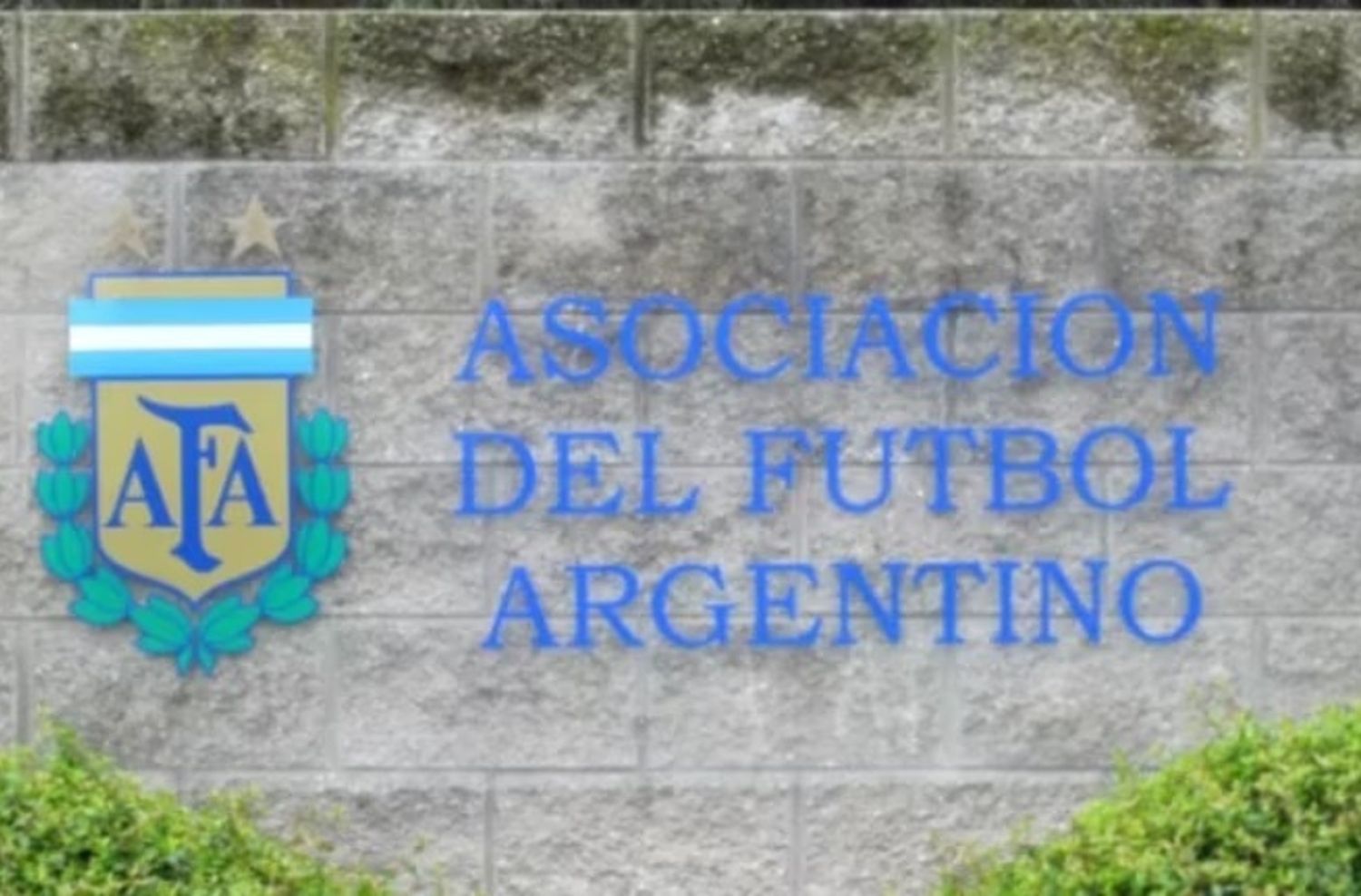 La AFA decidió eliminar uno de los descensos de la Liga Profesional