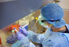 Confirmaron 52 nuevos contagios de Covid-19 y suman 407 los casos activos en Tandil