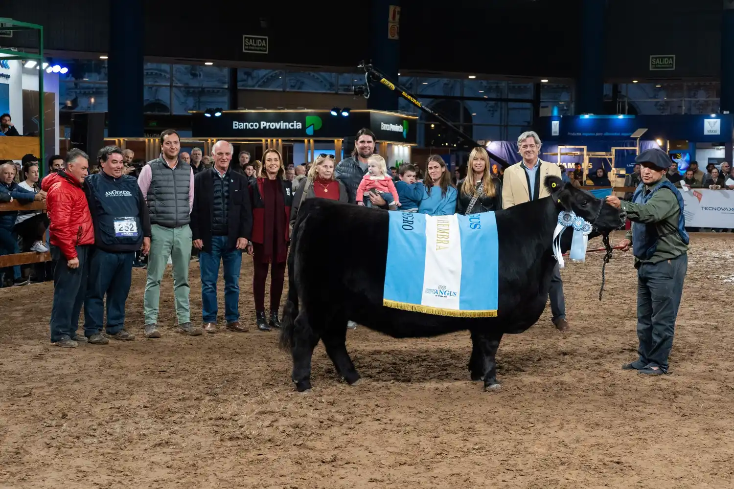  Angus eligió a sus Grandes Campeones Hembras de Otoño