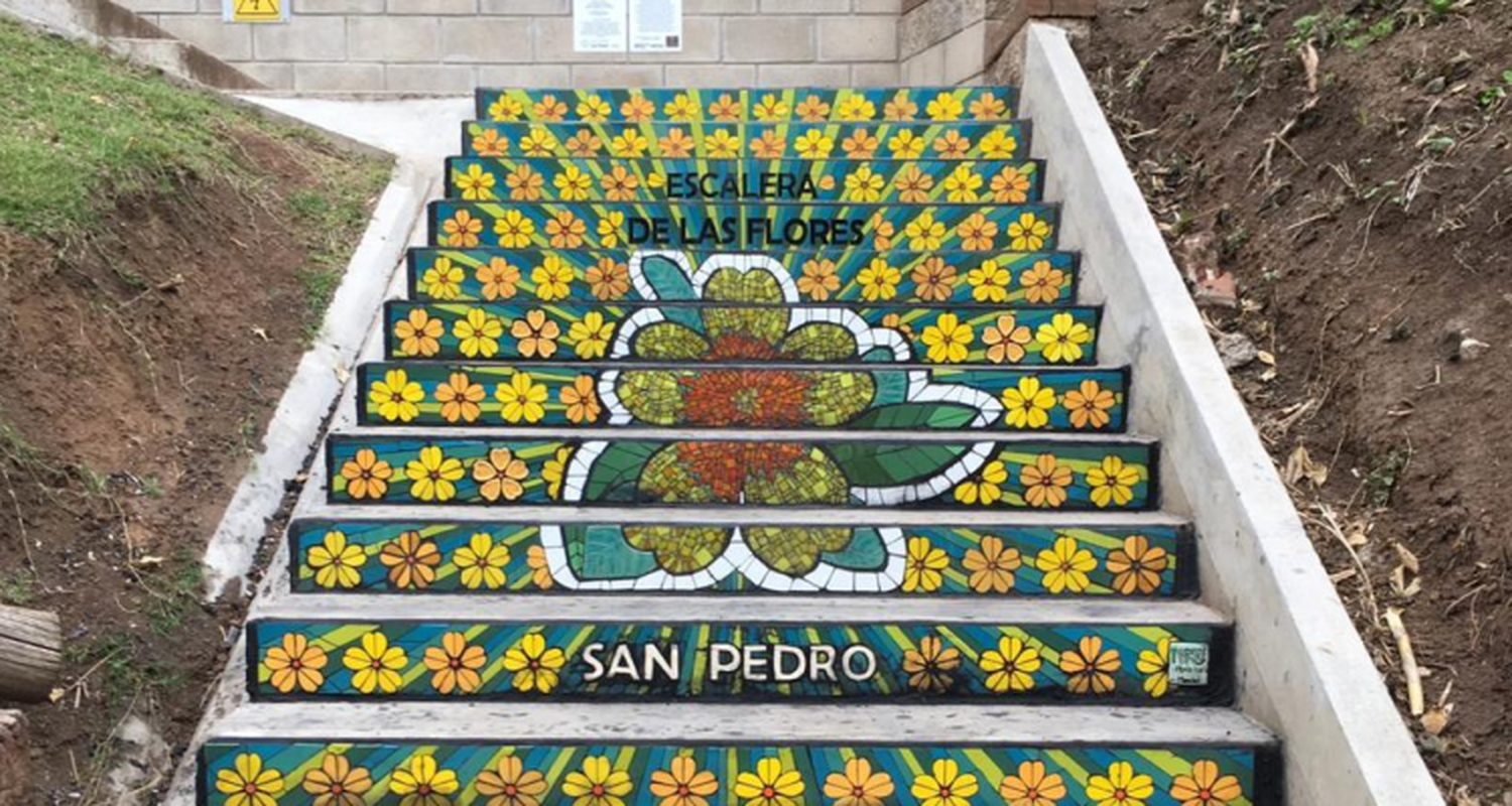 Culminó el tercer tramo de la Escalera de las Flores, dedicado al duraznillo de agua