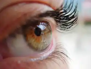 ¡Ojo! La córnea resiste al coronavirus