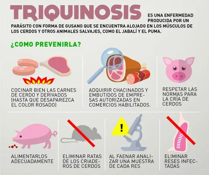 triquinosis