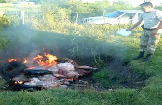 La Policía de Entre Ríos decomisó 600 kilos de carne