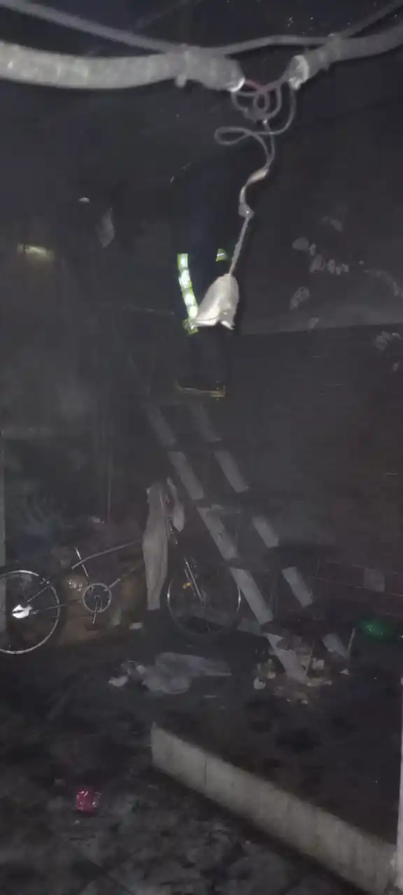 Bomberos Voluntarios de Frontera salvan la vida de un perro atrapado en incendio - 1