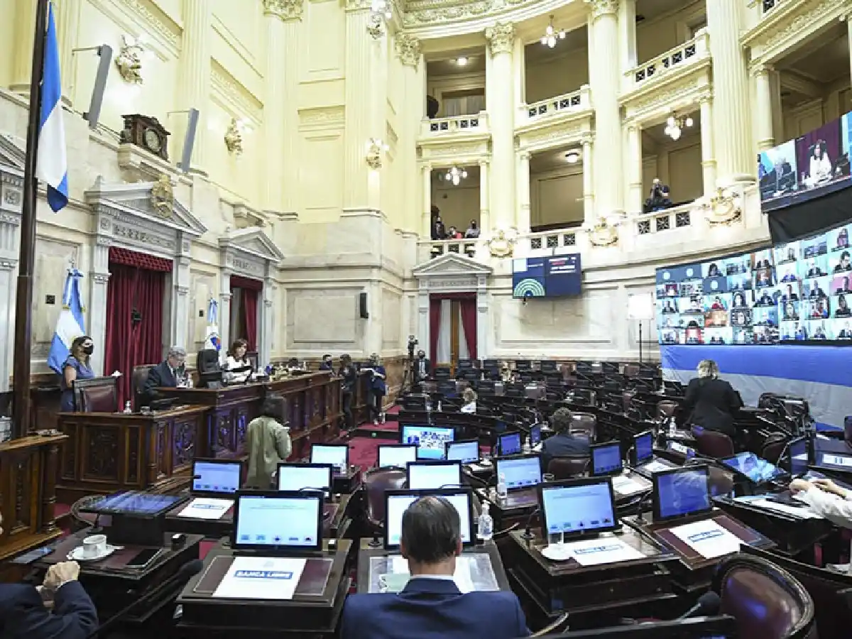 El Senado planea un tratamiento "ágil" de la legalización del aborto, para votar antes de fin de año
