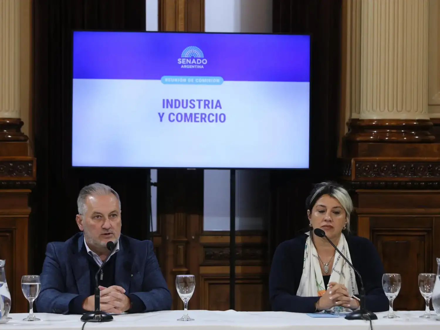 Marcelo Lewandowski, senador nacional.
