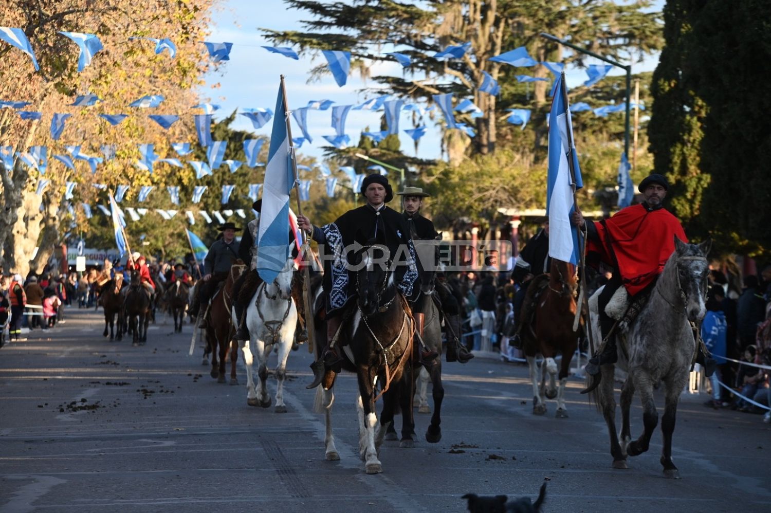 Desfile 9 de julio Gualeguaychú 2024 - 2